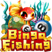 Bingo Fishing at big baller club