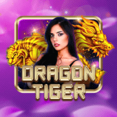 Dragon Tiger live casino at big baller club